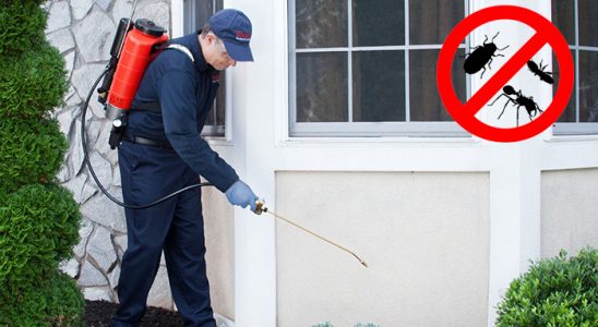 Afşin Gümüşkurt İlaçlama böcek ilaçlama ve haşere kontrolü — ilaclama-tr.com